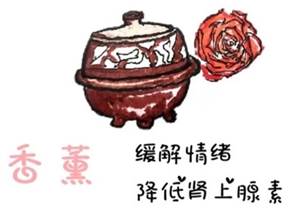 说明: E:\weixin\WeChat Files\yunye002\FileStorage\Temp\3360b59c719249197850f4086a006150.jpg