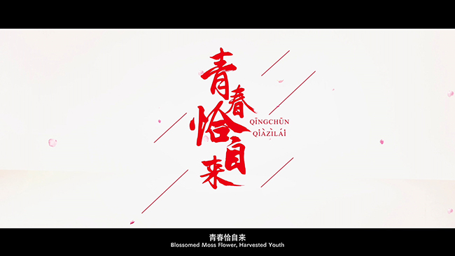 1524645390121607.jpg 乐山师院40周年成片V1.mov_20180425_135244.901.jpg