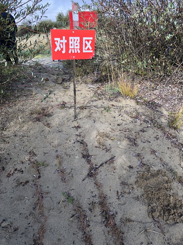 1539651467106770.jpg 4.jpg